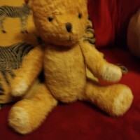 Eladó szalma maci tedi