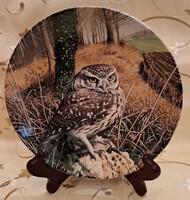 Baglyos tányér, madaras porcelán dísztányér 3 (L5872)