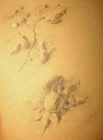 ÚJÉVI AJÁNLAT ! 1889-es GARANTÁLTAN EREDETI EDVI-ILLÉS ALADÁR / 1870-1958/  : VIRÁGOK