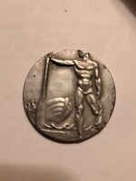 Erőteljes, idealizált férfi akt vízisport / úszás témájú érem