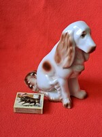 Hollóházi spániel porcelán kutya figura régi jelzéssel