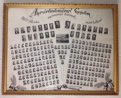 ANTIK ARANYOZOTT KÉPKERET (51 x 40,5 cm) - ÜVEGEZETT - Agrártudományi Egyetemi tabló 1953-58.