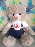 Szürke plüss Macó, rókás pulcsiban