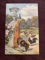 Régi pávás képeslap lithó  nagyon jó állapotban.