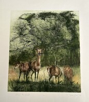 Kiss Péter : Őszi hajnal