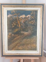 Shakirov Sebestyén tájkép festmény  64x78 cm kerettel