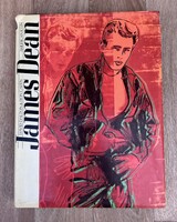 David Dalton & Ron Cayen - James Dean: American Icon