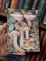 GOMBA!! 1986 első kiadás! MEDICINA- Dr LÉVAI JUDIT: TERITÉKEN A GOMBA-OLVASATLAN-GYŰJTŐI!