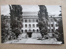 1964.  Kisvárda Bessenyei György Gimnázium  (145)