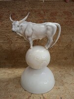 Ritka Herendi Szarvasmarha Földgömbön