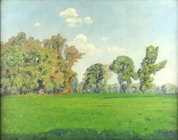 1Y104 Sárdy Brutus : Nyári liget 53.5 x 42 cm