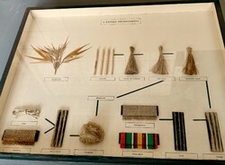 Cannabis feldolgozása bemutató vitrin!