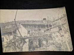 1926, Budafok, nagy fotó lakóházról, szőlőtőkékkel