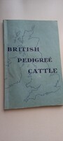 British pedigree cattle angol nyelvű kiadvány, az angol szarvasmarhákról