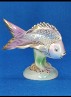Drasche porcelán hal