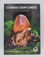 Gombák Zemplénből - Nem csak zemplénieknek