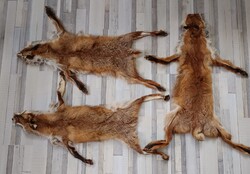 3db Róka Szőrme / Bőr Egyben