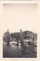 Német 2 világháborús katona csoportkép szamár fogat kertészkedés 1941 6x9 cm