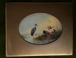 August Knip (1819-1859) antik miniatűr, vízi madarak