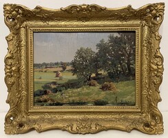 Garantáltan eredeti! Németh György (1888-1962) olaj, falemez festmény hibátlan állapotban!