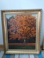 Farkas Gyöngyi festmény Szarvasi arborétum
