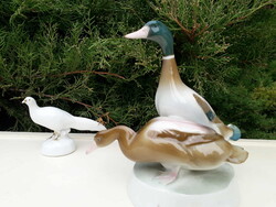 Zsolnay Sinkó A. porcelán / Vadkacsa, fácán.