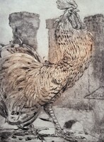 Láng Rudolf: Kakas - színezett rézkarc - állatkép, madár, baromfi