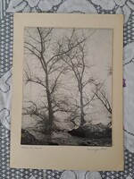 Ködös Dunapart Művészi fotó 1968.