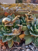 3D copper snail display case decoration.