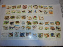 Vadállatok - retro gyerek kártya, játék kártya pakli