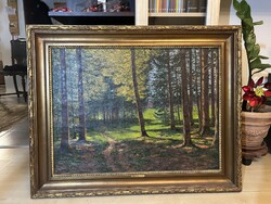 Olgyai Viktor: Fények az erdőben