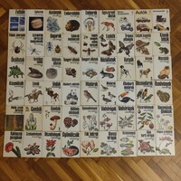 "Búvár Zsebkönyvek" 51db + "3db Kolibri könyvek" csak egyben eladóak