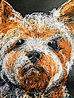 Vibók: Yorki 35x50 cm