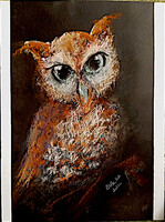 Vibók: Yorki 35x50 cm