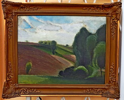 Csánky Dénes: 1885-1972 Garantáltan eredeti