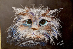 Vibók: Morci 35x50 cm