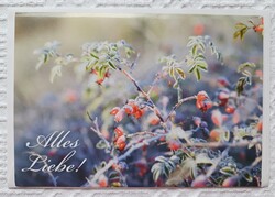 Jókívánság képeslap borítékkal üdvözlőlap üdvözlőkártya levelezőlap postatiszta német csipkebogyó