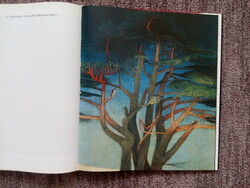 CSONTVÁRI FESTMÉNYEI SZÉP SZÍNES KÉPEKBEN