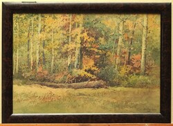 (N) Gyökössy Lajos (1880-) : Erdőszéle (Őszi erdő)