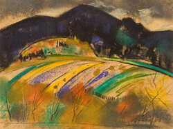 Gaál András - Csíki táj