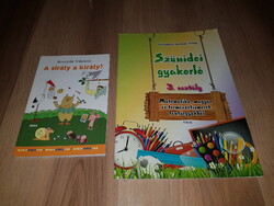 Bosnyák Viktória: A sirály a király? - Szünidei gyakorló 3. osztály új
