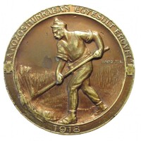 Magyarország,Rápolti Lajos: A közös munkában egyesült erővel 1918 EF bronz 88g55mm