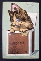 Üdvözlőlap cicás 1902 képeslap