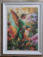 Gyémántszemes kolibris kép