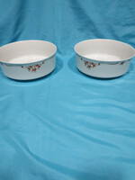 Csipkebogyós alföldi porcelán tálak