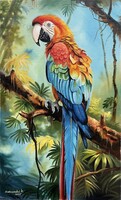 Dabronaki Papagáj 50x30 cm olaj-vászon