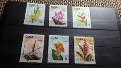 Cuba-1974 virágok.