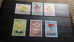 Cuba-1989. Gombák.