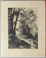 + Arató Gyula : Őszi fák