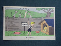 Képeslap,grafikai,humor,vicc,gyerek modell,állatok,macskazene,1955-